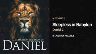 Sleepless in Babylon